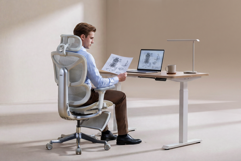 Meilleures chaises ergonomiques pour soulager les douleurs dorsales en 2026 | Top chaises de bureau pour posture et confort