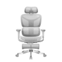 Welax S9 Pro – Chaise de bureau ergonomique premium avec grand confort