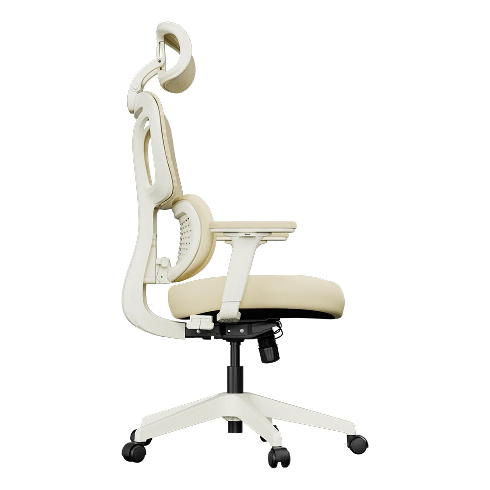 S3 Pro Chaise de bureau au design lifestyle coloré