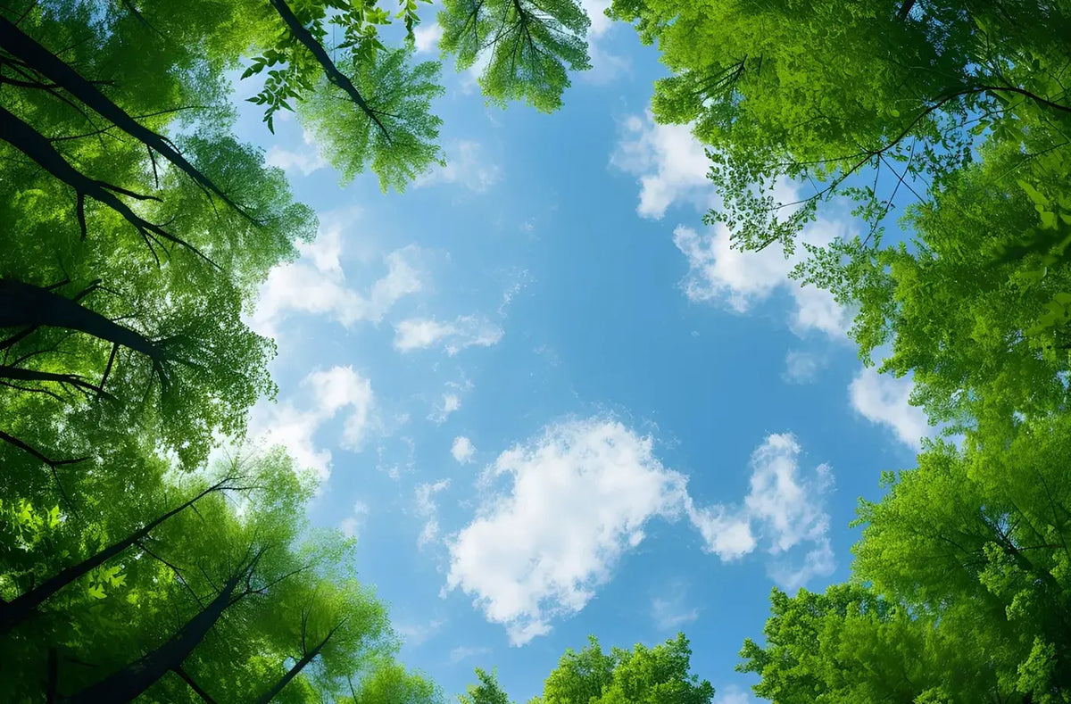 RSE et développement durable