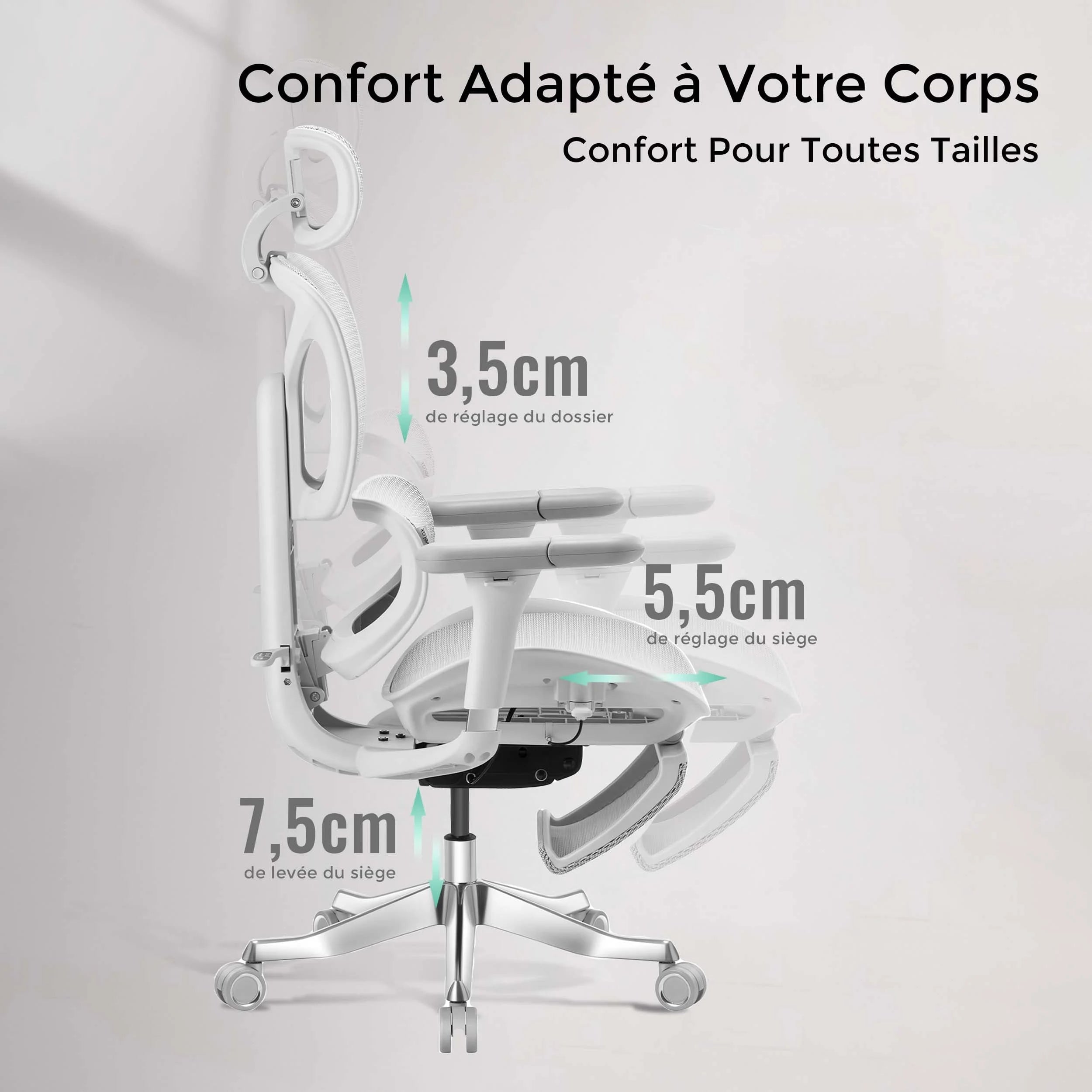 Chaise de bureau ergonomique, vue latérale : dossier et assise réglables en hauteur