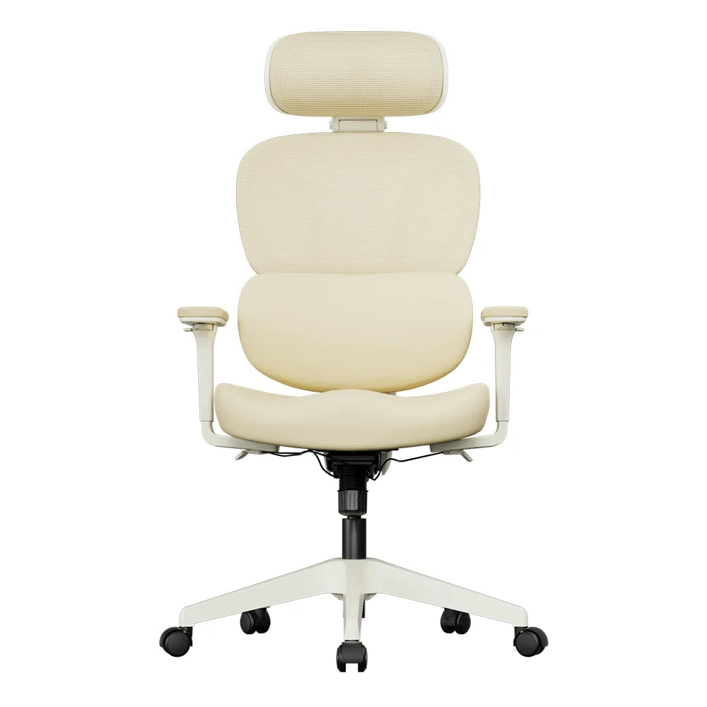 S3 Pro Chaise de bureau au design lifestyle coloré