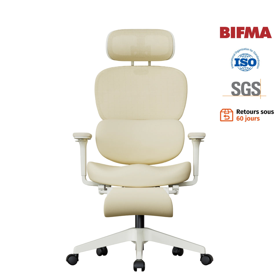 Welax S3 Pro – Chaise de bureau au design coloré et tendance